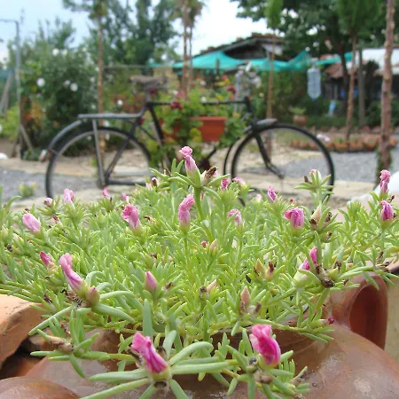 Valchanovi Guest house *